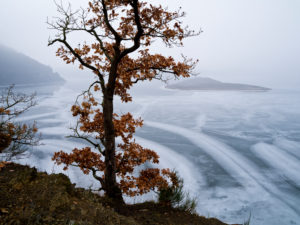 Europa, Deutschland, Hessen, Waldeck, Nationalpark Kellerwald-Edersee, Rotbuche an der Stollmühle, Winterstimmung mit Eis und Schnee, Eisstrukturen Europa, Deutschland, Hessen, Waldeck, Nationalpark Kellerwald-Edersee, Rotbuche an der Stollmühle, Winterstimmung mit Eis und Schnee, Eisstrukturen
